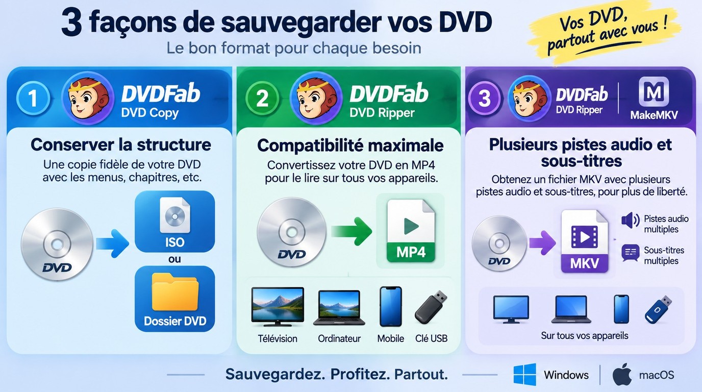 Choix DVDFab entre ISO, dossier DVD, MP4 et MKV selon l'appareil cible