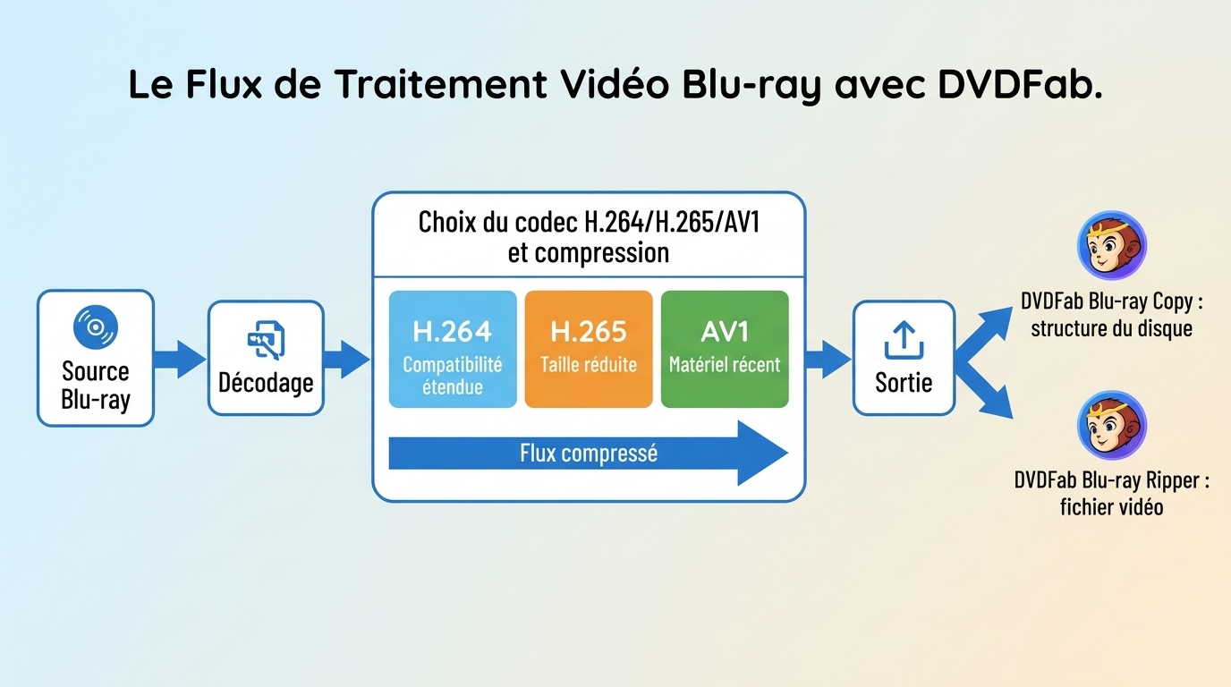 Pipeline Blu-ray de la source au codec puis à la sortie structurée ou vidéo